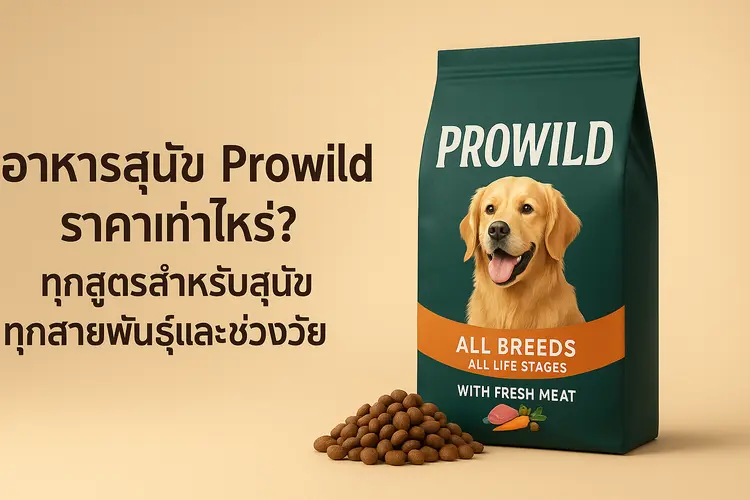 อาหารสุนัข Prowild ราคาเท่าไหร่? ทุกสูตรสำหรับสุนัขทุกสายพันธุ์และช่วงวัย